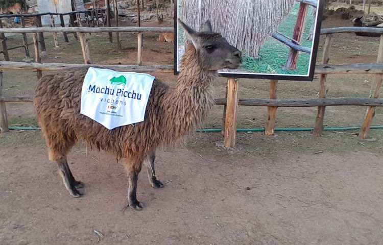 Viagens Machu Picchu