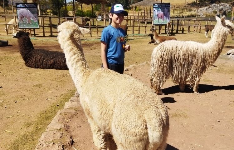 Viagens Machu Picchu